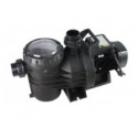 RaiOn Pool Pump